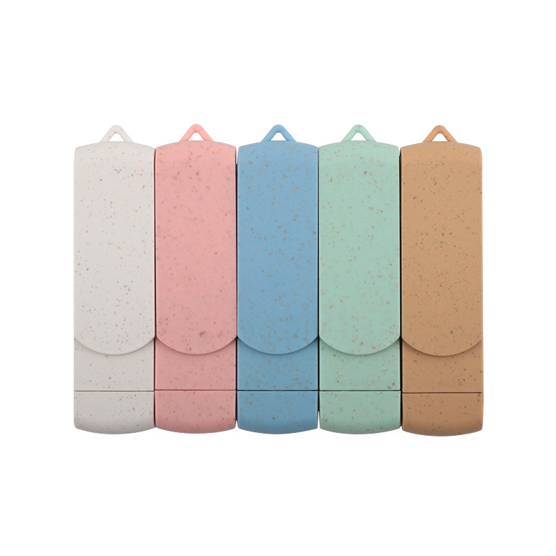 Recyclable Materials USB Flash Drive With Type C U Disk For Data Storage