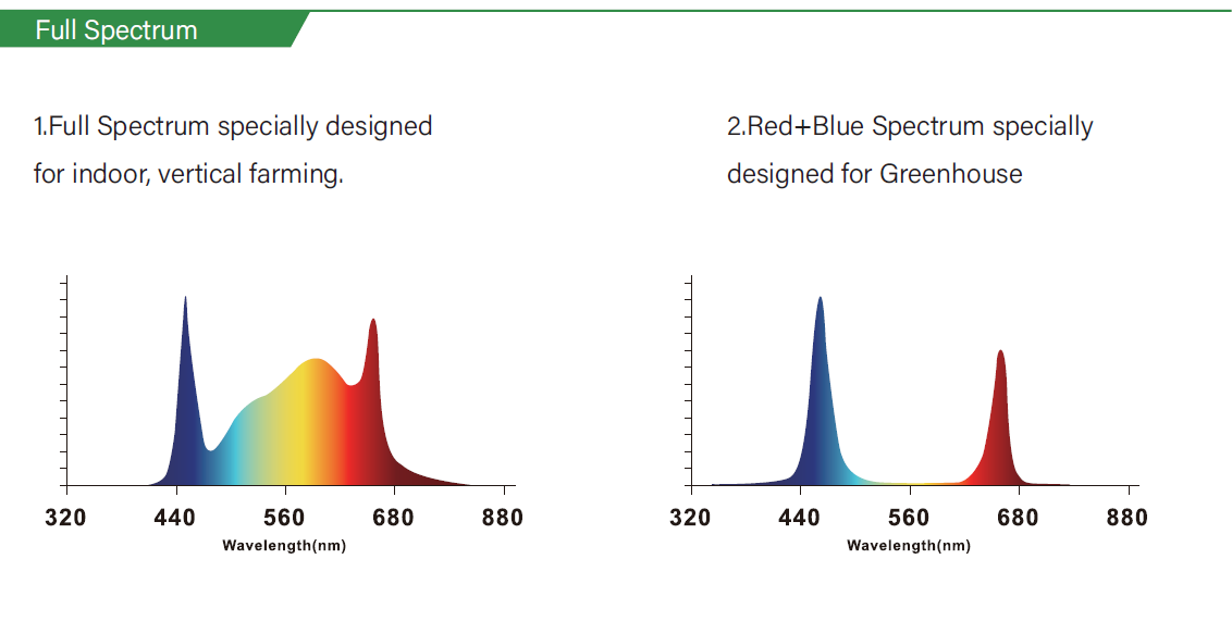 Interlight Greenhouse LED Grow Light For High Wire Crops Boost Yield