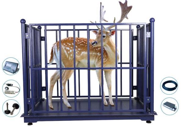 Quality 2*3M  Digital 10T Cattle Weighing Scales With Frame for sale
