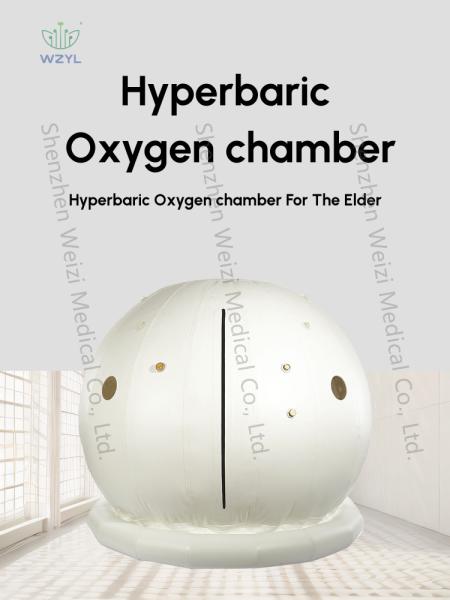 Quality Household Sitting Hyperbaric Chamber Custom HBOT Micro Pressure Oxygen WEIZI for sale