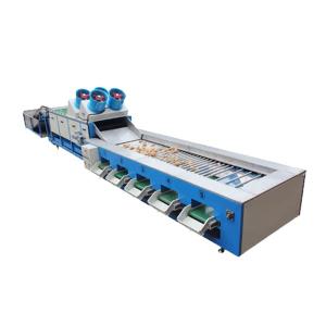 China Vegetable Apple Potato Onion Tomato Garlic Grading Machine on sale