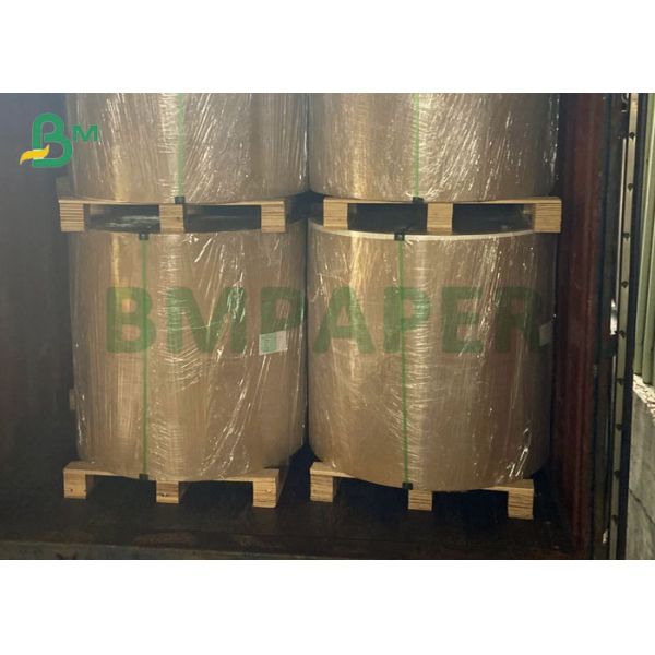 P1S P2S 150grs To 330grs Poly Coated Plain White Cup Stock Paperboard Reel