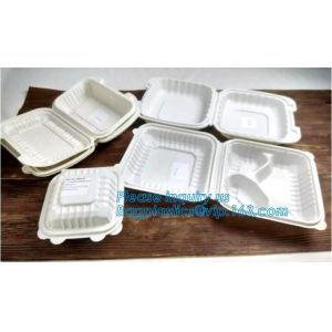 Airtight Plastic Storage Food Freshness Preservation Container Disposable
