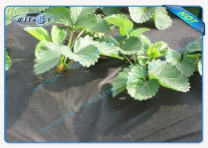 China Water Permeable Garden Fabric Agriculture Non Woven Cover Weed Suppressant Membrane on sale