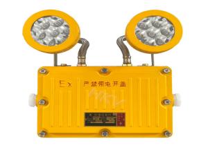 Rechargeable Explosion Proof Emergency Light With Double Emergency Light