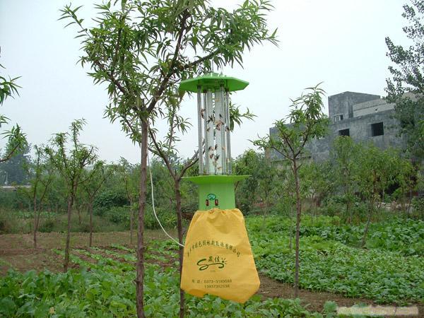 Quality Solar Insect Killing Lamp for farm for sale