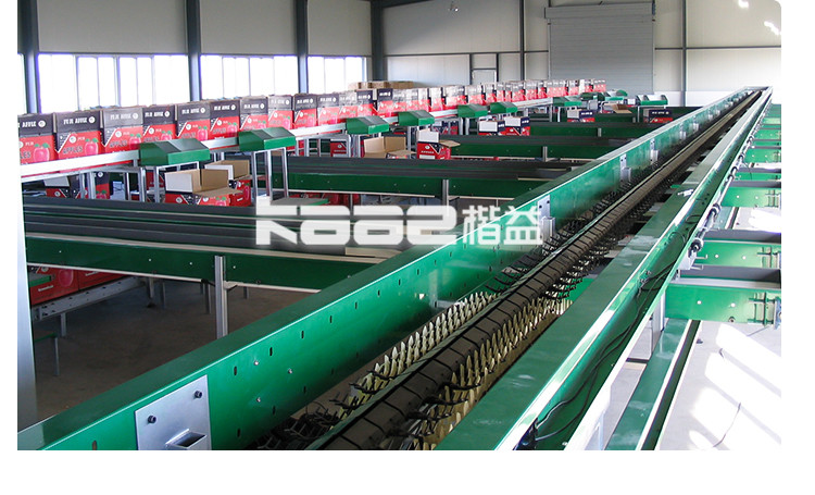 Citrus pear Orange Juice SUS304 Automatic Fruit Sorting Machine adopting computer vision