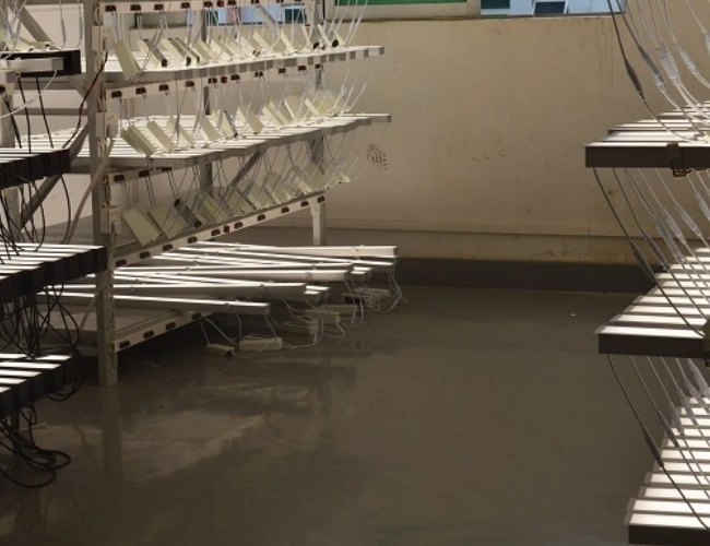 SMD Cool White IP20 Surface Mounted Linear LED Lights Diffuser Office 240V