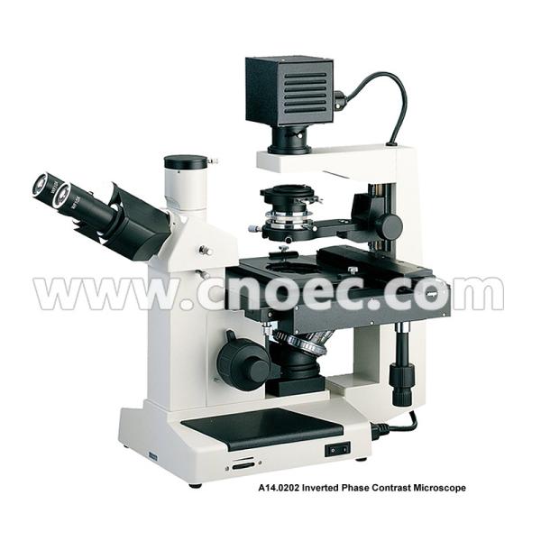 Quality 400X Plan Phase Contrast  Inverted Optical Microscope Halogen Lamp Rohs CE A14.0202 for sale