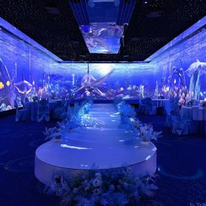 Buy cheap Multi Projection 3D Interactive Immersive Projector Holographic Projection product