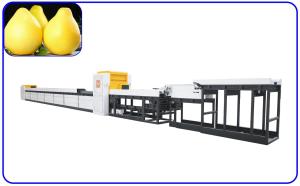 Buy cheap 380V Automatic Fruit Sorting And Grading Machine product