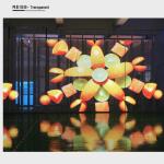 High Resolution Transparent Video Display Lightweight Low Power Consumption