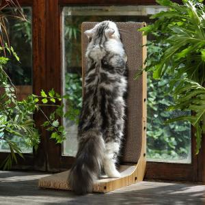 L Shape Right Angle Cat Scratching Cardboard With Ball Cat Scratching Toys