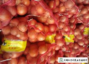 Matured Fresh Onions , Healthy Chinese Onion Outside Color Yellow / Red