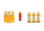 4000BPH Beverage Filling Machine Automated Bottling Equipment Multi - Founction