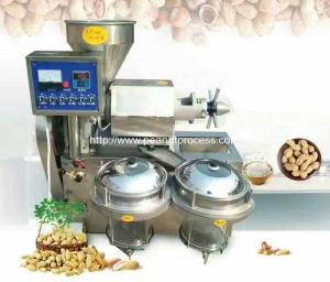 Automatic Peanut Oil Pressing Machine with Vacuum Filter