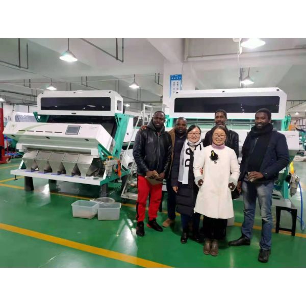 Black Green Mini Tea Colour Sorter Machine 192 Channels