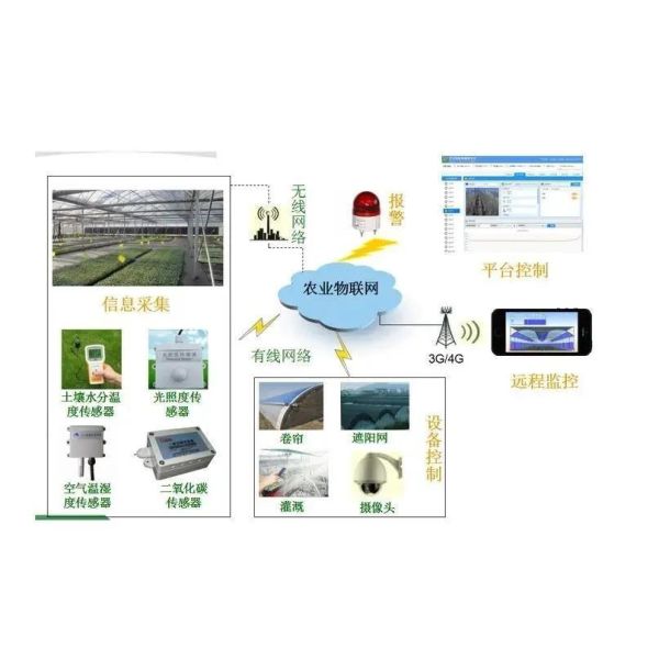 Drip Irrigation Glass Greenhouse Hydroponics System for Vegetables