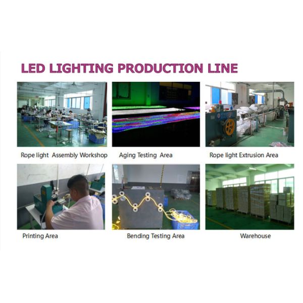 Top quality 2 wires 110/220V LED rope light Christmas decorative lighting outdoor festive lighting supplier best price