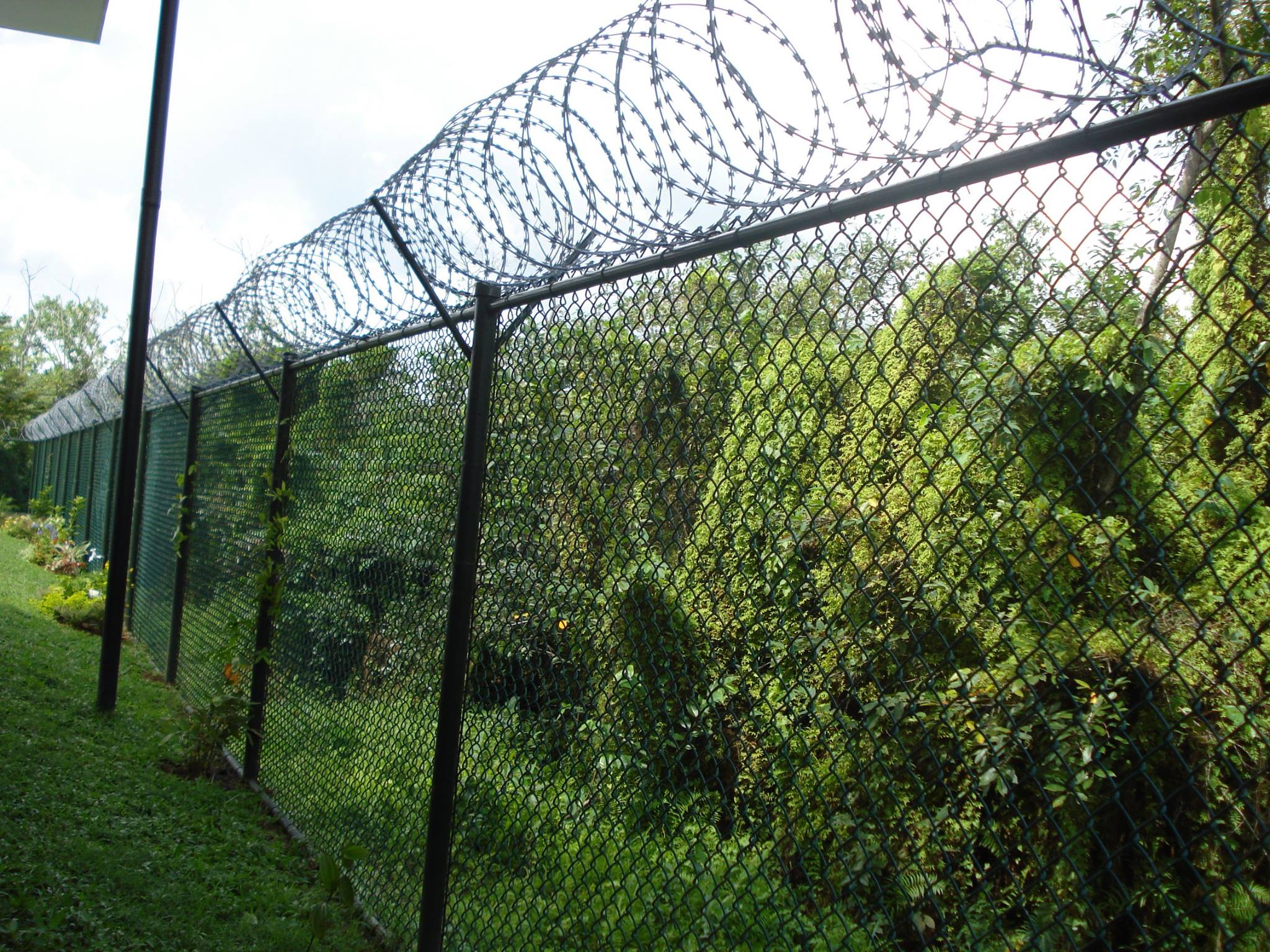 Anping Factory Chain Link Fence Stadium 100 ft roll chain link fence 1 inch chain link fence