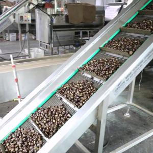 Buy cheap 1.5 Ton Output Intelligent Chestnut Sizer And Grader Machine With 99.9% Sorting Accuracy product