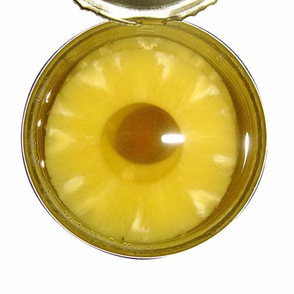 Quality Mygou Canned Pineapple Slices For Eating Processing Drinks And Desserts for sale
