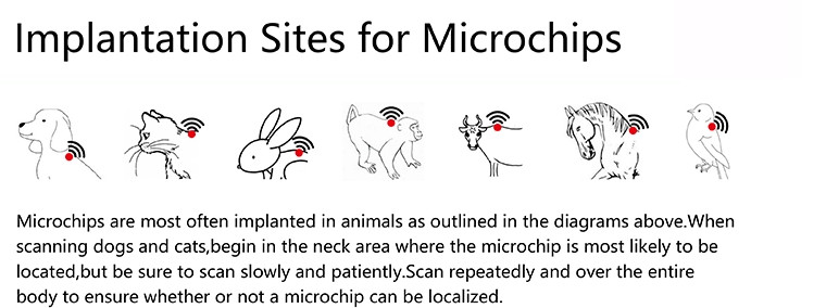 EO Disinfection Animal Syringe With Microchips ID Number For Animals Pets