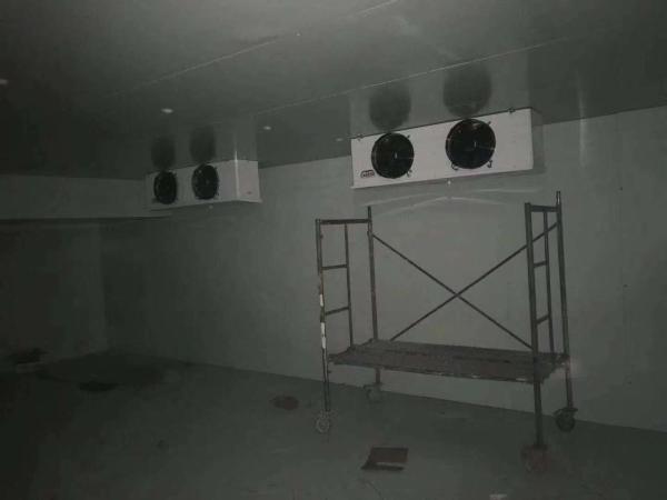Quality Container Cold Room Cold Storage for Frozen Food Meat State-of-the-Art Technology for sale