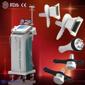 Quality portable  Cryolipolysis Slimming Machine for spa for sale