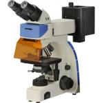 Wide View Field L3001 Epifluorescent Microscope With Transmitted Field