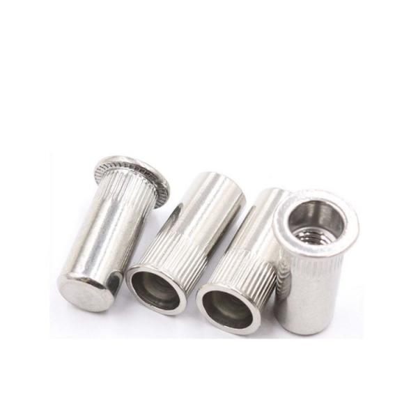 Quality Metric Flat Head Rivet Nut M3 M4 M5 M6 M8 M10 Knurled Stainless Steel for Performance for sale