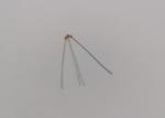 Radial Glass Encapsulated NTC Thermistor For Information & Control System
