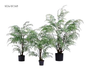 Buy cheap Decorative Artificial Fern Tree Vivid Display Greenery Beautiful Ornate Planter product