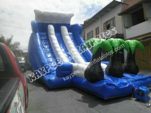 China Hot Sell Inflatable palm tree slide ,Inflatable water slide,inflatable wet dry slide on sale