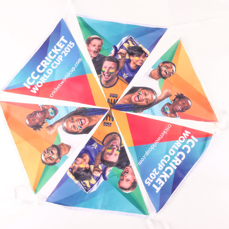 Digital Printing String Flag Colorful Bunting Material Flags