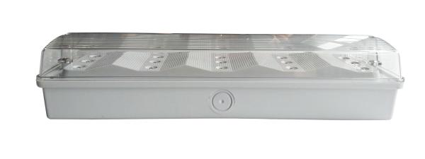 Quality Maintained / Non Maintained IP65 Waterproof Emergency Light  220V - 240V 50Hz / 60Hz (EL015AM) for sale