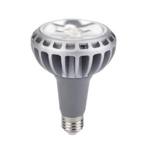 High CIR>80 par30 led E27 4000k 30w led par30 PF>0.9