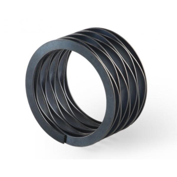Quality Mechanical Seal SUS304 1.0mm Nested Wave Spring for sale