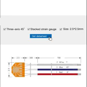 Ruijia Bridge Strain Gage Sensor Self-Compensated for Temperature Creep Measurement
