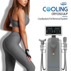 China Non Invasive Cryolipolysis Weight Loss Machine Cellulite Treatment Machine on sale