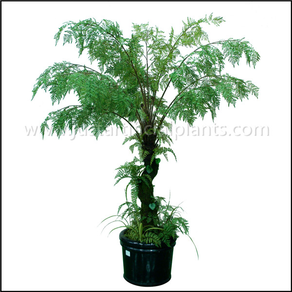 Curving Stem Artificial Fern Tree , Fake Fern Tree Green Lush Foliage 230CM