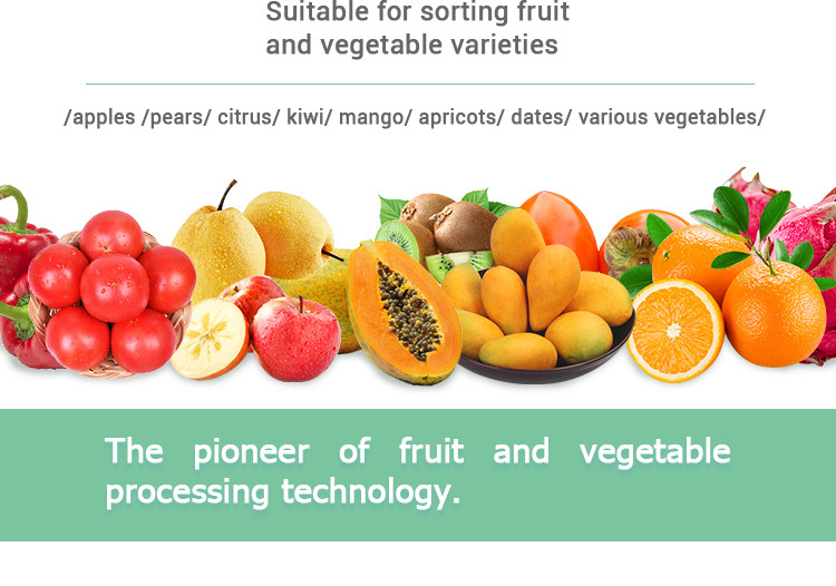 Citrus pear Orange Juice SUS304 Automatic Fruit Sorting Machine adopting computer vision