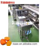 SS304 Dried Persimmon Processing Line Persimmon Peeling Machine For Persimmon