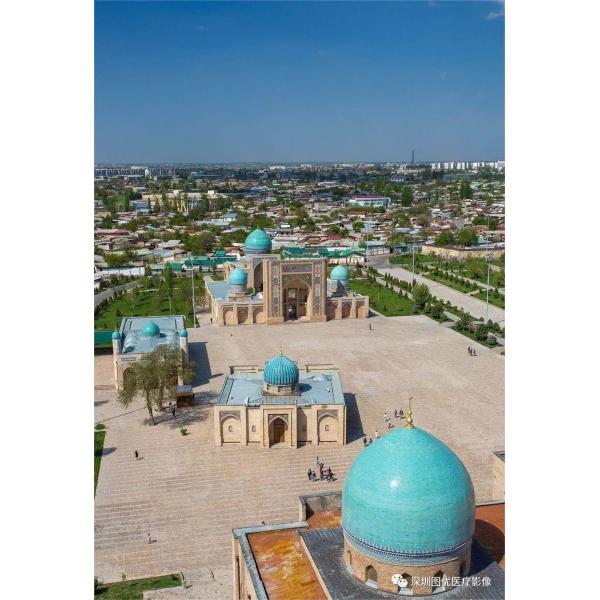 Veterinary Video Rigid And Flexible Endoscope With Gastroscope Medical Endoscope Camera