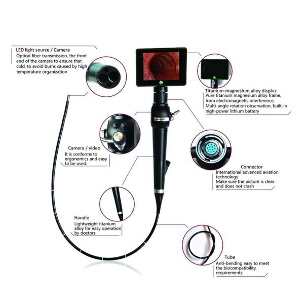 3.8mm Anesthesia Flexible Video Electronic Intubation Laryngoscope Hd Video Laryngoscope Camera Set For Check Throat