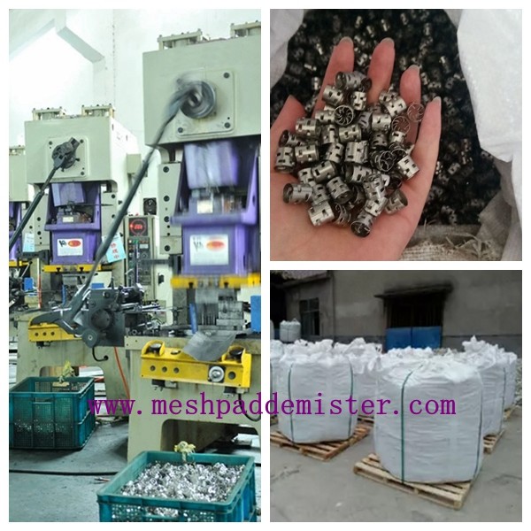 Pass Iso Ss316l 904l Metal Pall Ring 25mm Tower Random Packing