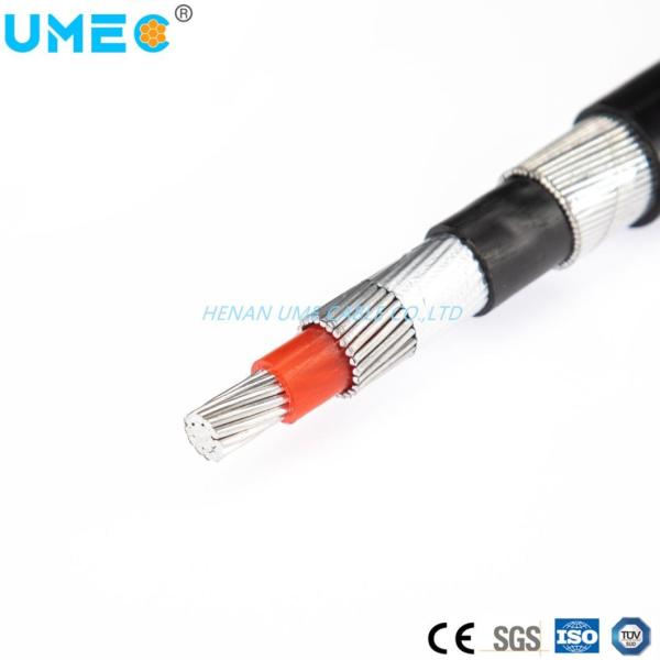 Low Voltage XLPE Insulated Concentric Cable with Stranded Copper/Aluminum Conductor