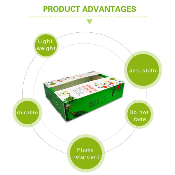 Corruone Waterproof Folding Polypropylene Corrugated Plastic Fruits Vegetables Asparagus/Ginger/Taro/Okra Packing box