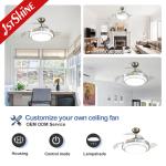 220 Volt Dimmable Retractable Ceiling Fan Light Remote Control