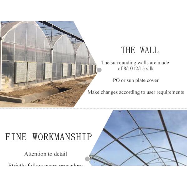 Film Cover Double Layer Hydroponics Grow Kit System for Greenhouse